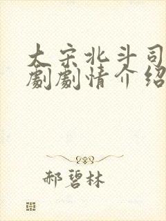 大宋北斗司电视剧剧情介绍 大宋北斗司电视剧剧情介绍
