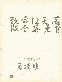 致命12天国语版全集免费观看