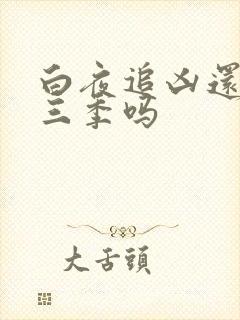 白夜追凶还有第三季吗