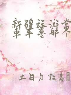 新疆旅游当地包车平台哪个好