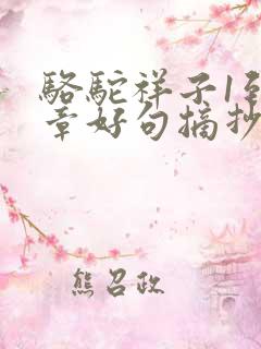 骆驼祥子1到5章好句摘抄