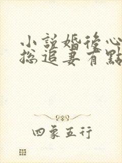 小说婚后心动凌总追妻有点甜全文阅读