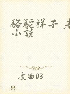 骆驼祥子 老舍小说