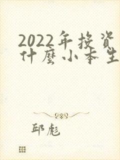 2022年投资什么小本生意好