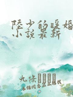 陆少的暖婚新妻小说最新 陆少的暖婚新妻小说最新