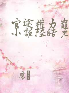 官途权力巅峰赛小说陆皓免费阅读