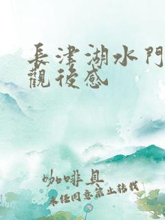长津湖水门桥底观后感