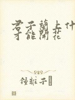 君子兰上什么肥才能开花