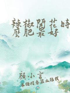 辣椒开花时施什么肥最好