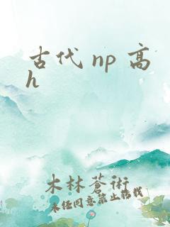 古代 np 高h