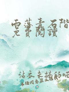 雨落青石阶小说免费阅读