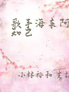 歌手海来阿木别知己