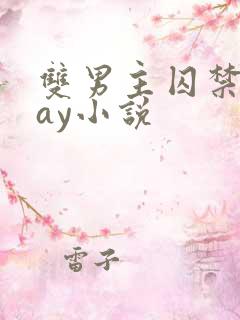 双男主囚禁play小说