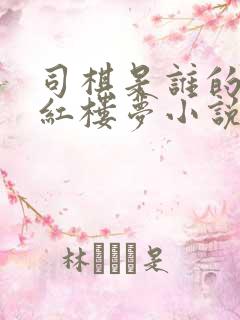 司棋是谁的丫鬟红楼梦小说
