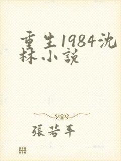 重生1984沈林小说