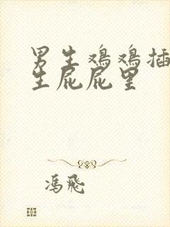 男生鸡鸡插进女生屁屁里