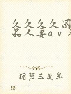 久久久久国产精品人妻aⅴ蜜
