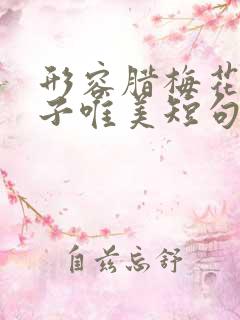 形容腊梅花的句子唯美短句 形容腊梅花的句子唯美短句