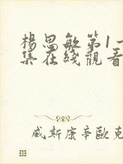 杨思敏第1一5集在线观看