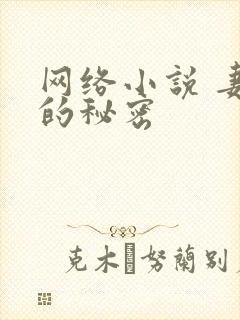 网络小说 妻子的秘密