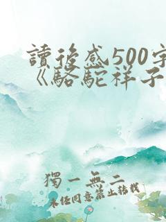 读后感500字《骆驼祥子》