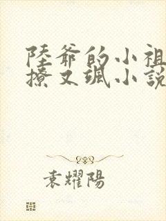 陆爷的小祖宗又撩又飒小说