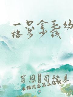 一只金毛幼犬价格多少钱 一只金毛幼犬价格多少钱