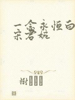一念永恒白小纯宋君婉