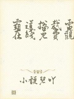 霸道总裁电视剧在线免费观看