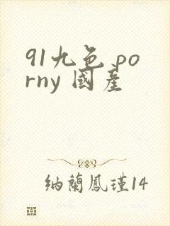 91九色 porny 国产