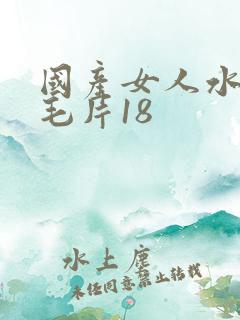 国产女人水真多毛片18