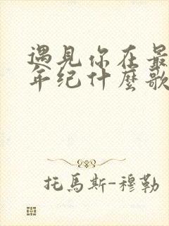 遇见你在最好的年纪什么歌