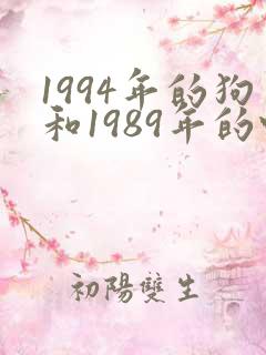 1994年的狗和1989年的蛇 1994年的狗和1989年的蛇