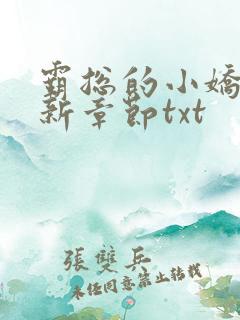 霸总的小娇妻最新章节txt