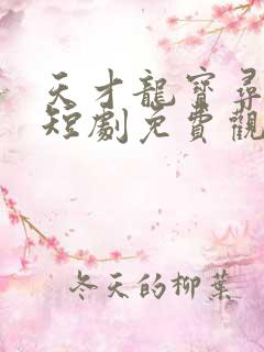 天才龙宝寻亲记短剧免费观看