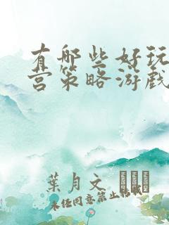 有哪些好玩的经营策略游戏