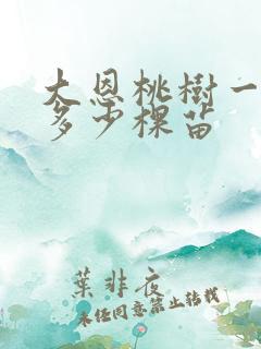 大恩桃树一亩栽多少棵苗