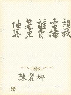 他是谁电视剧全集免费播放完整版