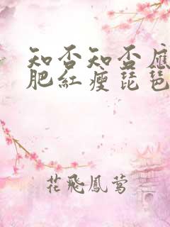 知否知否应是绿肥红瘦琵琶谱