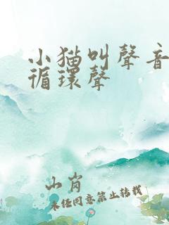 小猫叫声音播放循环声 小猫叫声音播放循环声