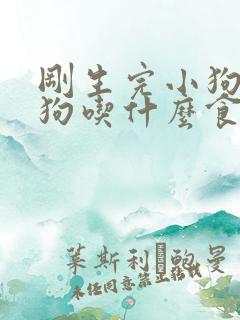 刚生完小狗的母狗吃什么食物