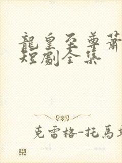 龙皇至尊萧昆仑短剧全集