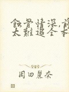 蚀骨情深,前妻太难追全本下载