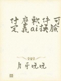 什么软件可以自定义ai换脸