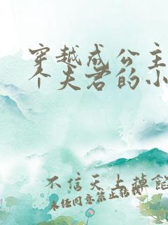 穿越成公主有七个夫君的小说 穿越成公主有七个夫君的小说