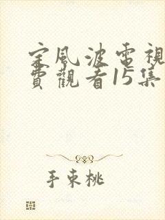 定风波电视剧免费观看15集