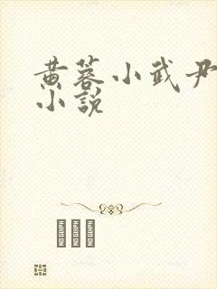 黄蓉小武尹志平小说