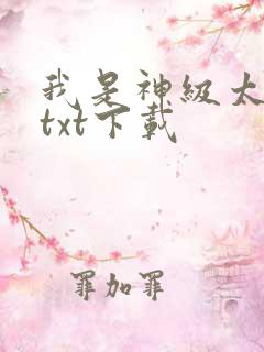 我是神级太子爷txt下载