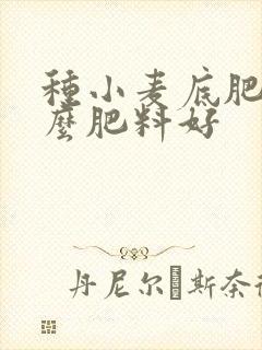 种小麦底肥用什么肥料好