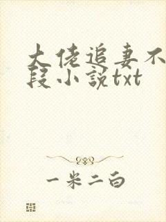 大佬追妻不择手段小说txt 大佬追妻不择手段小说txt